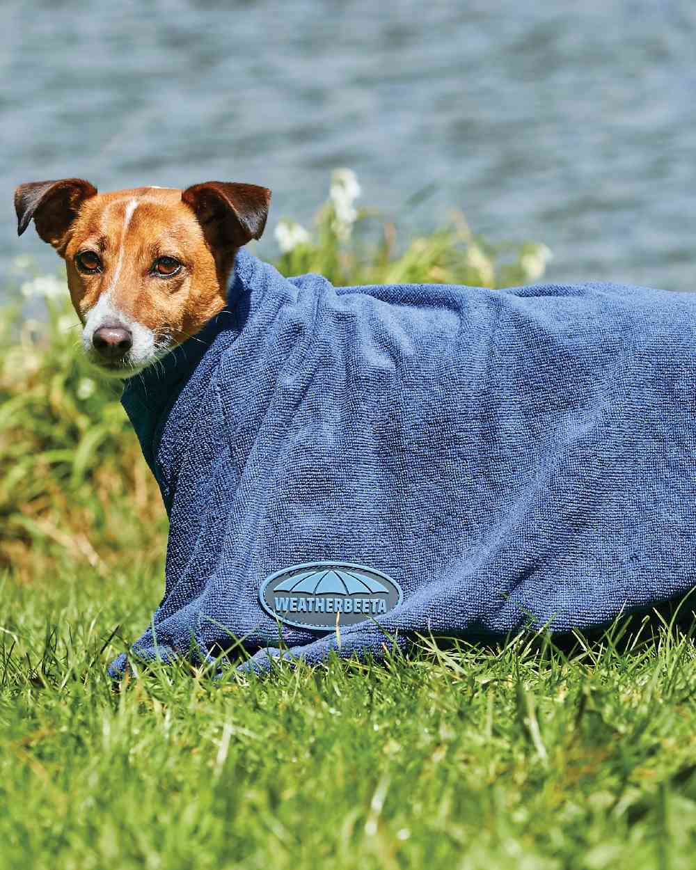 WeatherBeeta Comfitec Dry-Dog Bag - Image 2