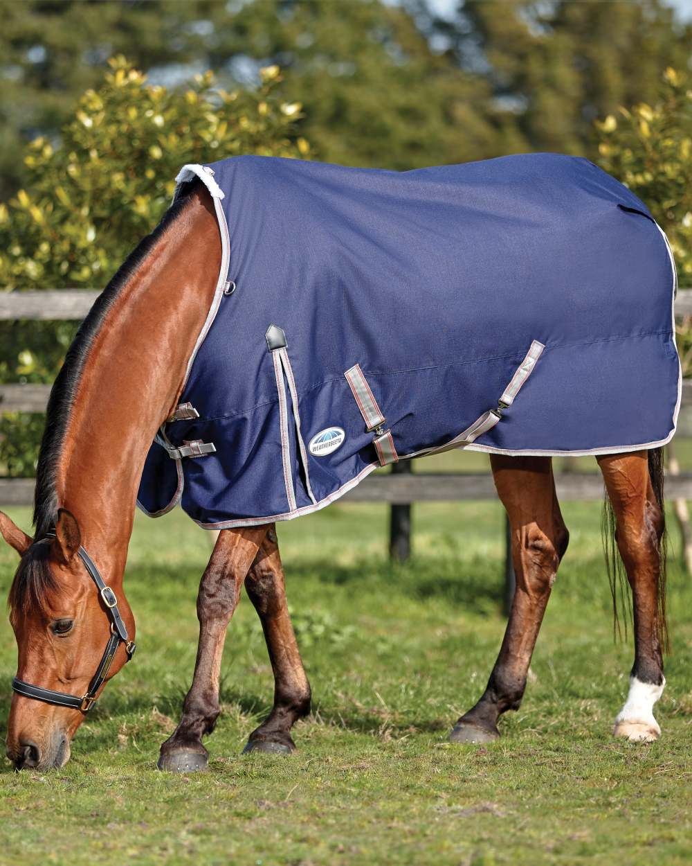 WeatherBeeta ComFiTec Essential Standard Neck Lite - Image 2