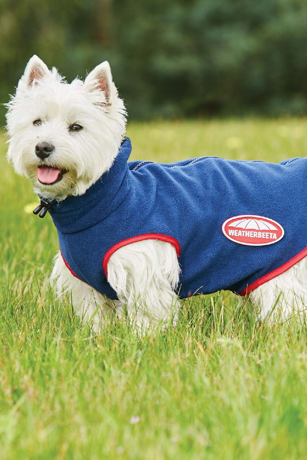 WeatherBeeta ComFiTec Fleece Zip Dog Coat - Image 2