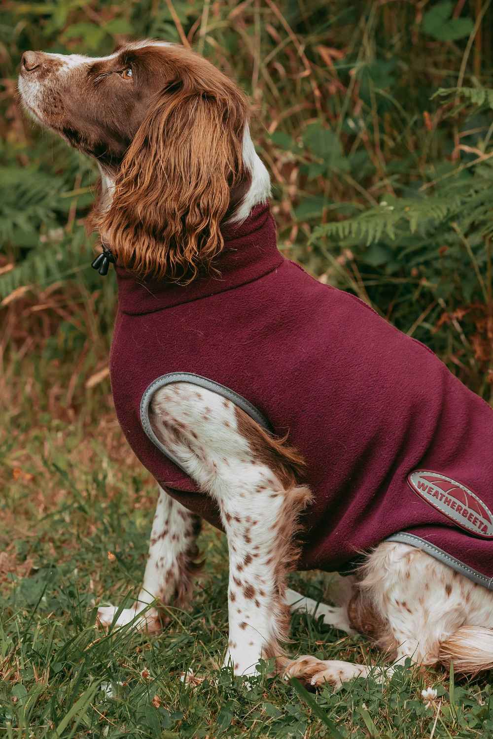 WeatherBeeta ComFiTec Fleece Zip Dog Coat - Image 4