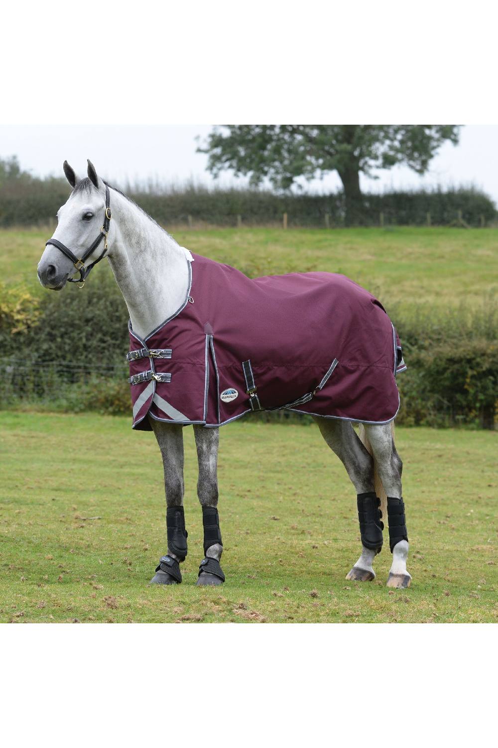 WeatherBeeta ComFiTec Plus Dynamic II Standard Neck Lite | Two Colours - Image 3