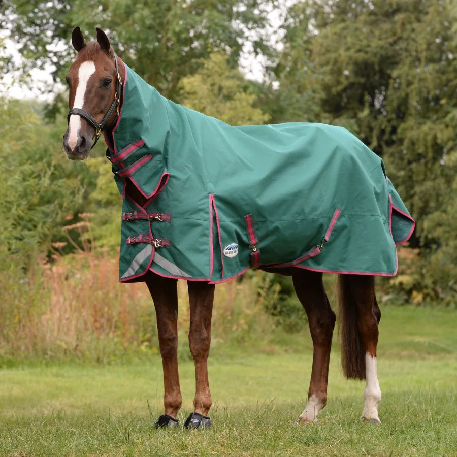 WeatherBeeta ComFiTec Plus Dynamic II Standard Neck Lite | Two Colours - Image 4