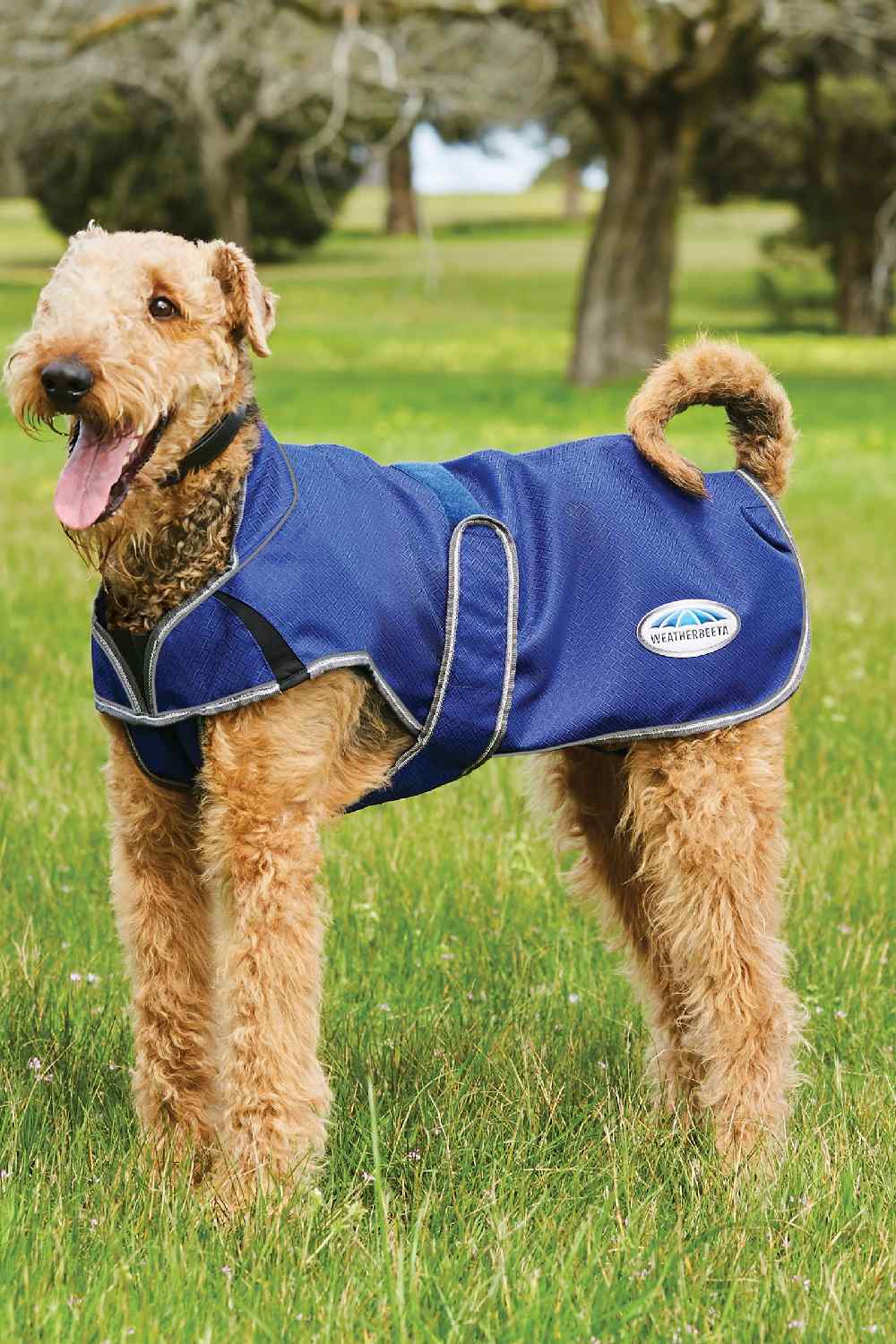 WeatherBeeta ComFiTec Premier Free Duo Deluxe Parka Dog Coat - Image 2