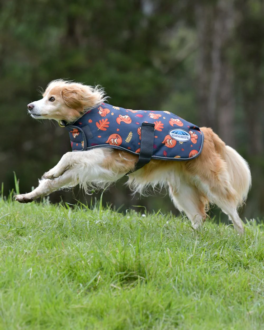 WeatherBeeta ComFiTec Premier Free Parka Dog Coat - Image 10