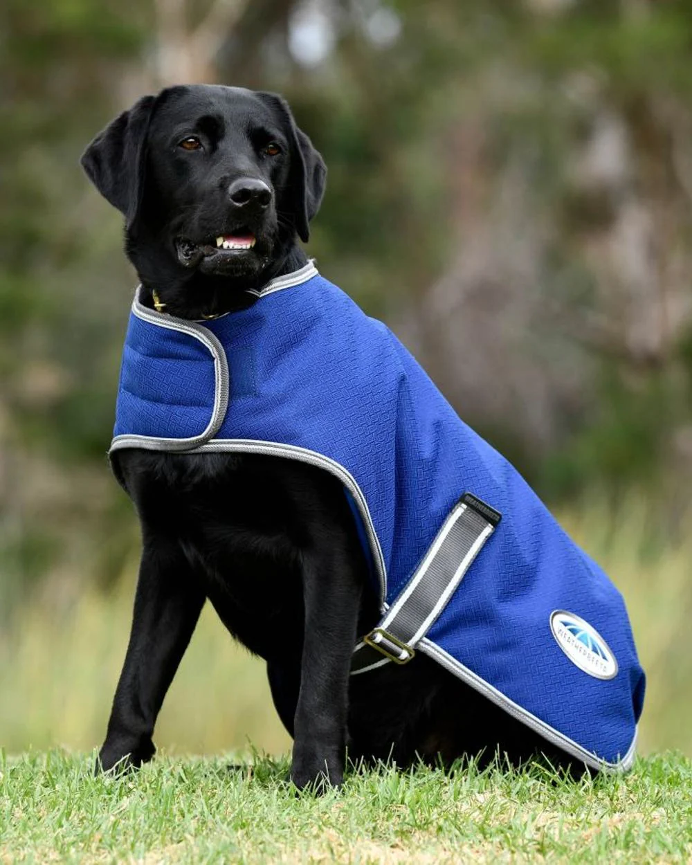 WeatherBeeta ComFiTec Premier Free Parka Dog Coat - Image 2