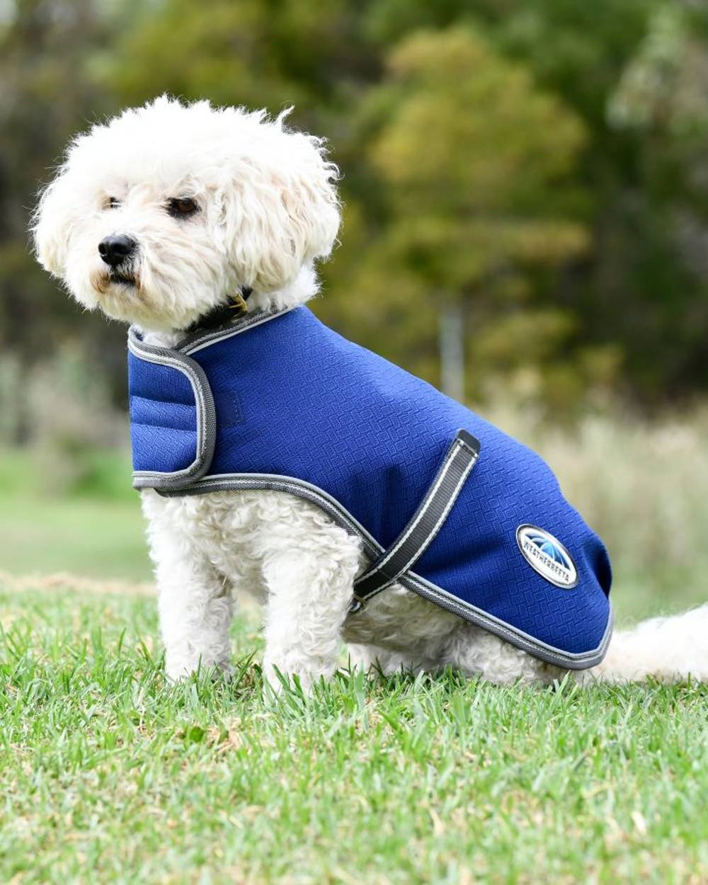 WeatherBeeta ComFiTec Premier Free Parka Dog Coat - Image 3