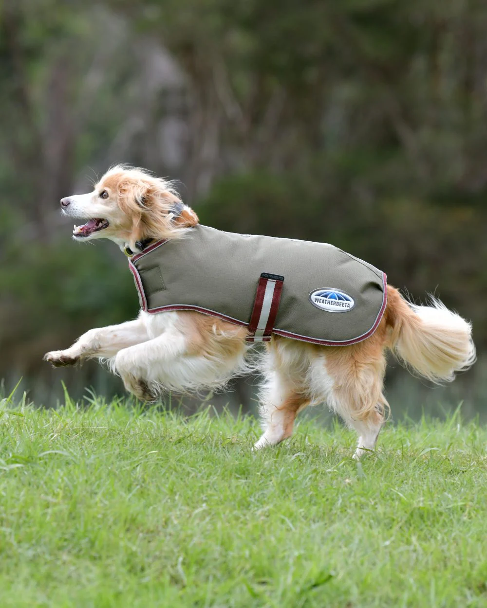 WeatherBeeta ComFiTec Premier Free Parka Dog Coat - Image 5