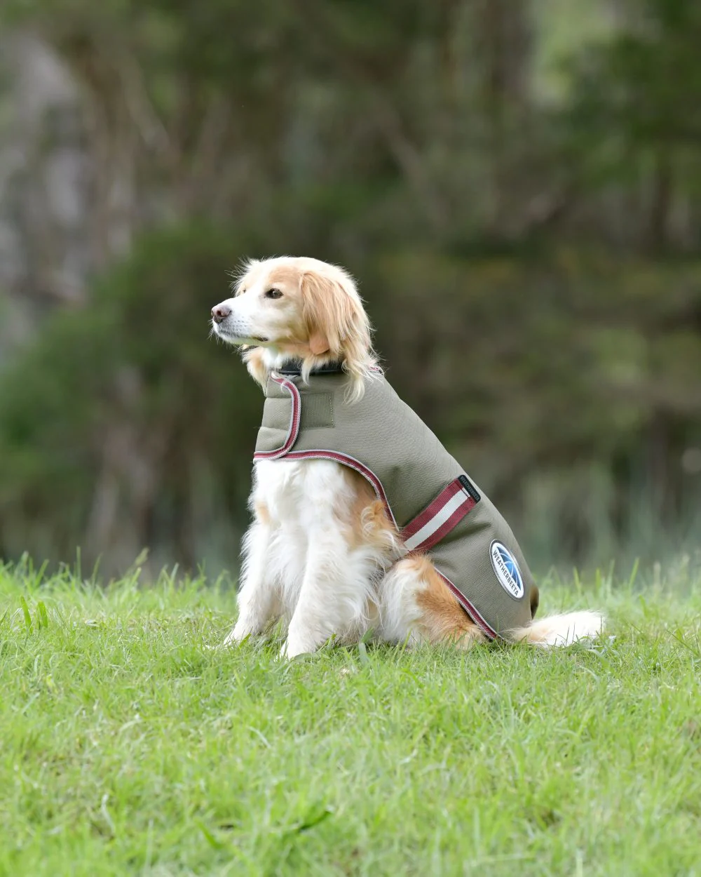 WeatherBeeta ComFiTec Premier Free Parka Dog Coat - Image 6
