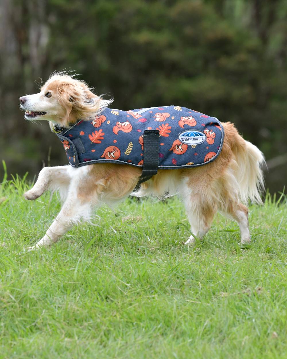 WeatherBeeta ComFiTec Premier Free Parka Dog Coat - Image 9