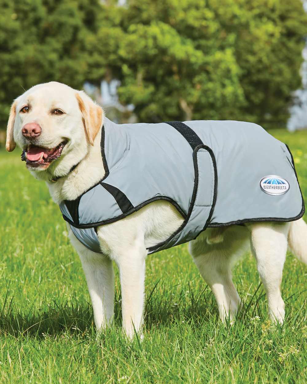 WeatherBeeta ComFiTec Reflective Dog Coat Medium - Image 2