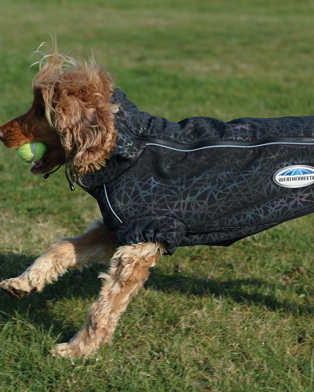 WeatherBeeta ComFiTec Reflective Print Active Dog Coat - Image 2