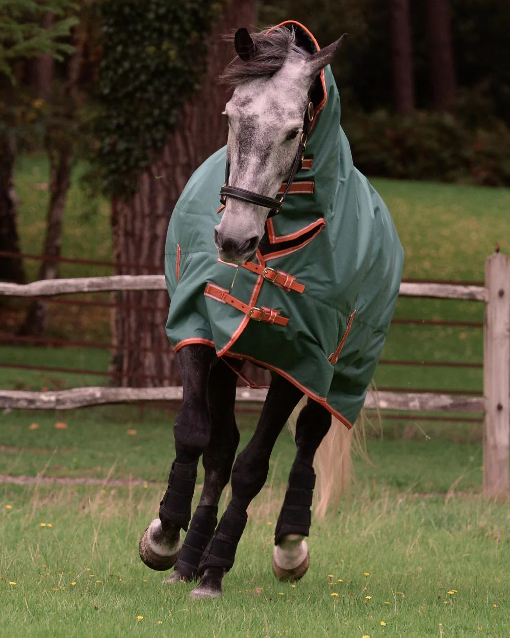WeatherBeeta ComFiTec Tyro Combo Neck Lite Plus - Image 2