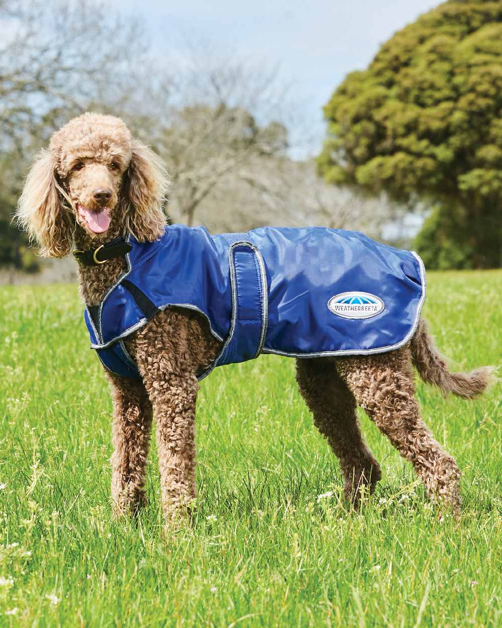 WeatherBeeta ComFiTec Windbreaker Free Deluxe Dog Coat - Image 2