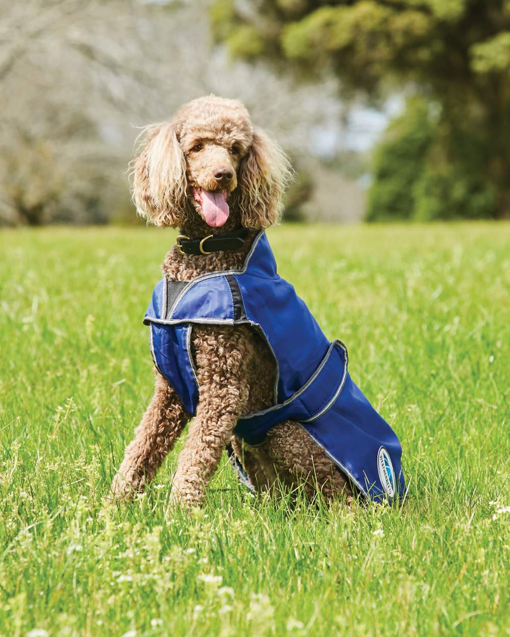 WeatherBeeta ComFiTec Windbreaker Free Deluxe Dog Coat - Image 3