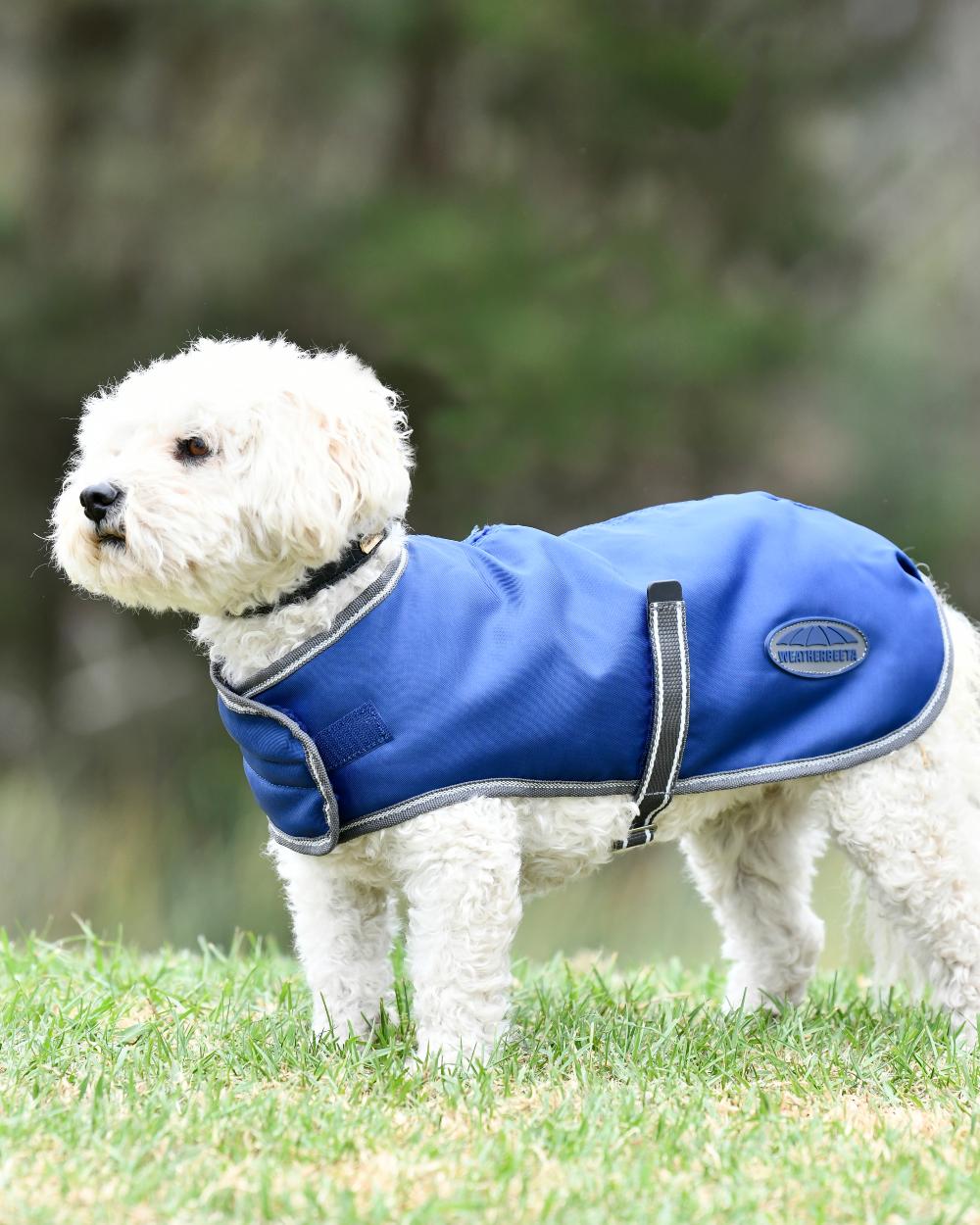 WeatherBeeta ComFiTec Windbreaker Free Dog Coat - Image 3