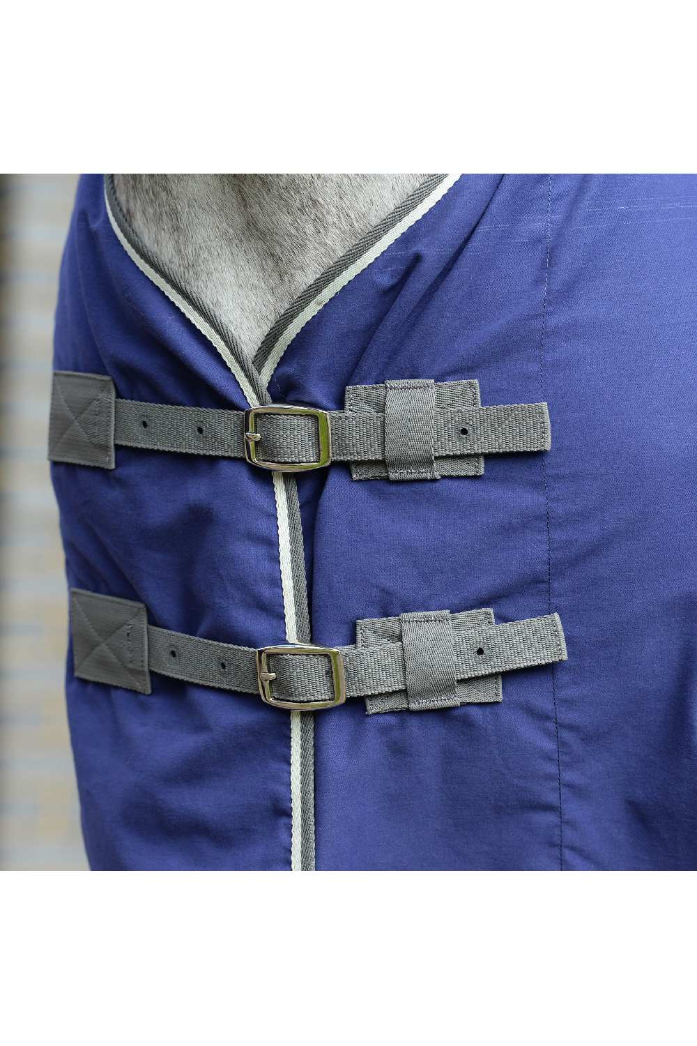 WeatherBeeta Cotton Show Sheet with Surcringles II Standard Neck - Image 3