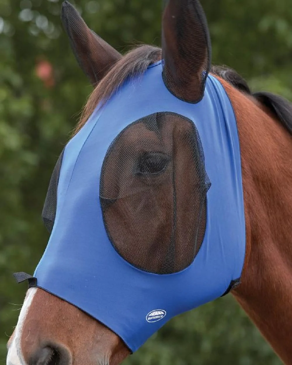 WeatherBeeta Deluxe Stretch Bug Eye Saver with Ears - Image 6