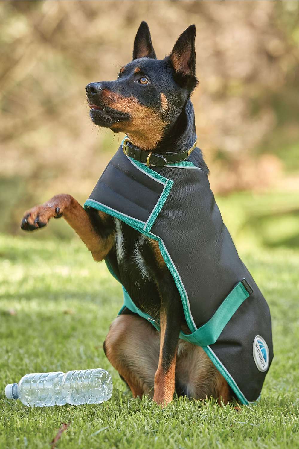 WeatherBeeta Green-Tec 900D Dog Coat Lite Plus - Image 2