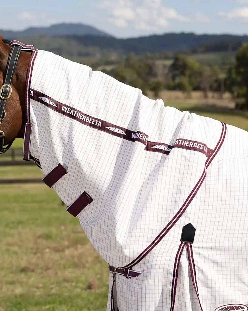 WeatherBeeta Hybrid Seasons Combo Neck - Image 3