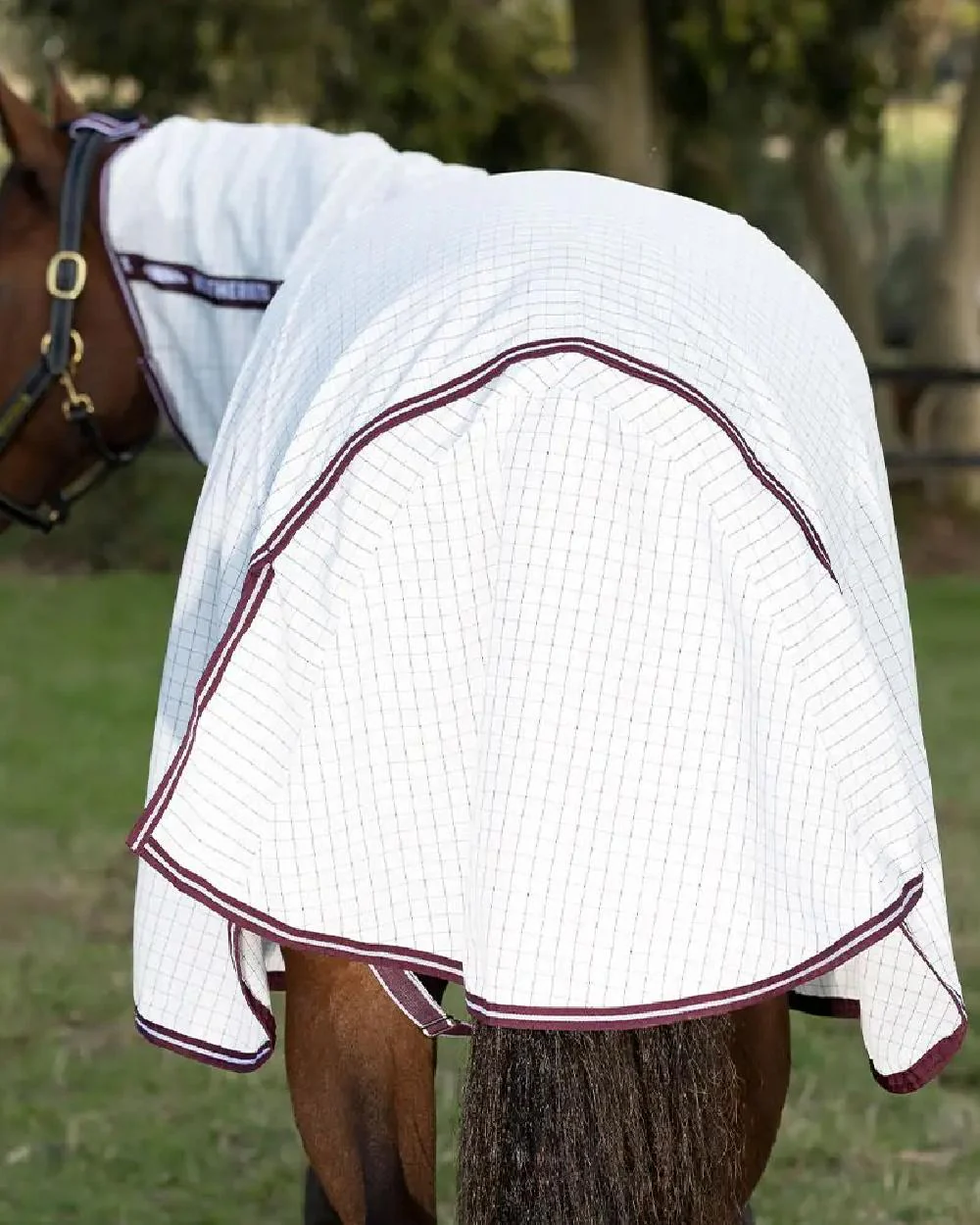 WeatherBeeta Hybrid Seasons Combo Neck - Image 6
