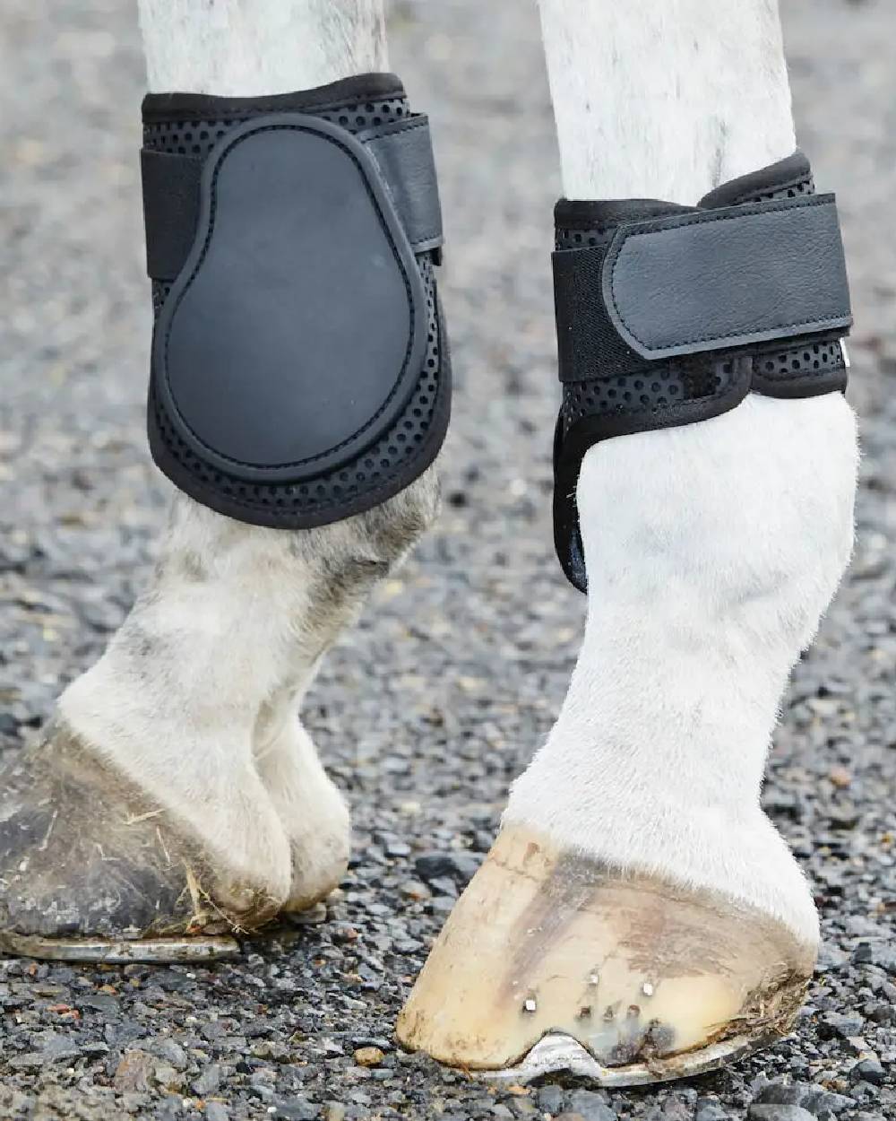 Weatherbeeta Lite Fetlock Boots - Image 2