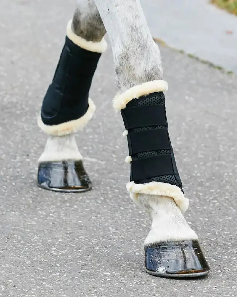 WeatherBeeta Pure Wool Lined Exercise Boots - Image 2