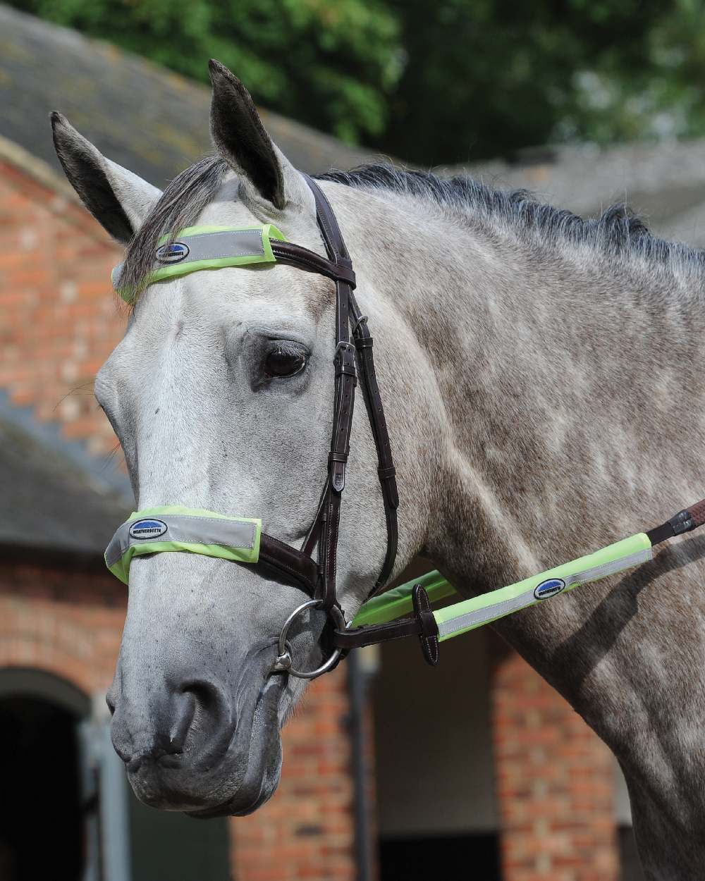 WeatherBeeta Reflective Bridle Kit - Image 4