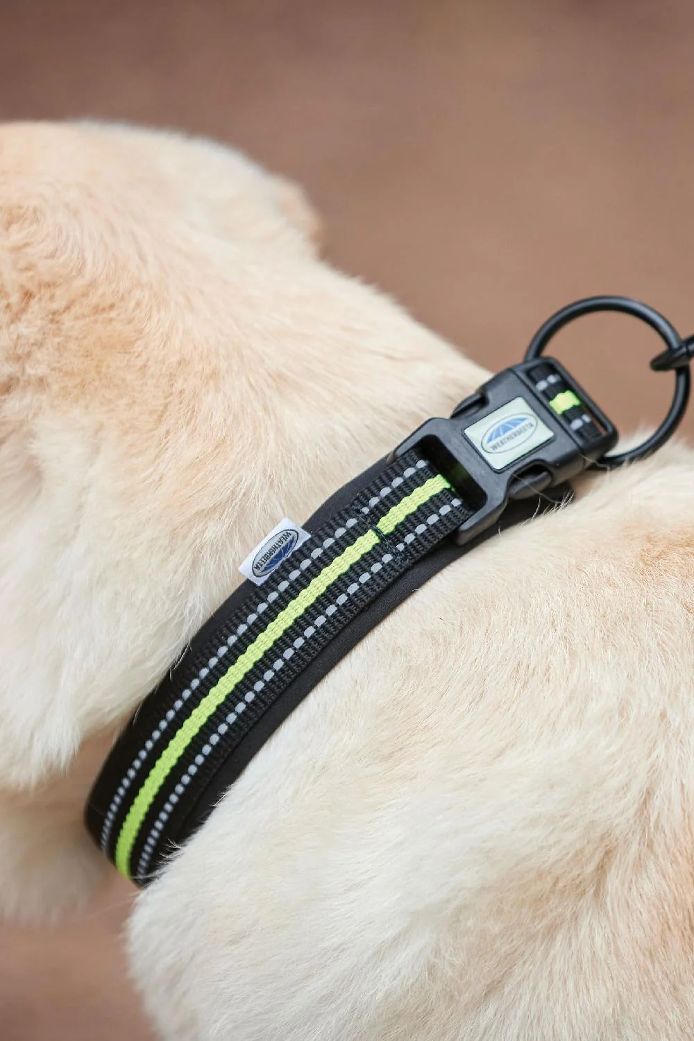 WeatherBeeta Reflective Dog Collar - Image 6