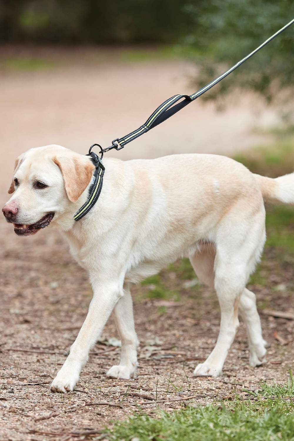 WeatherBeeta Reflective Dog Lead - Image 2