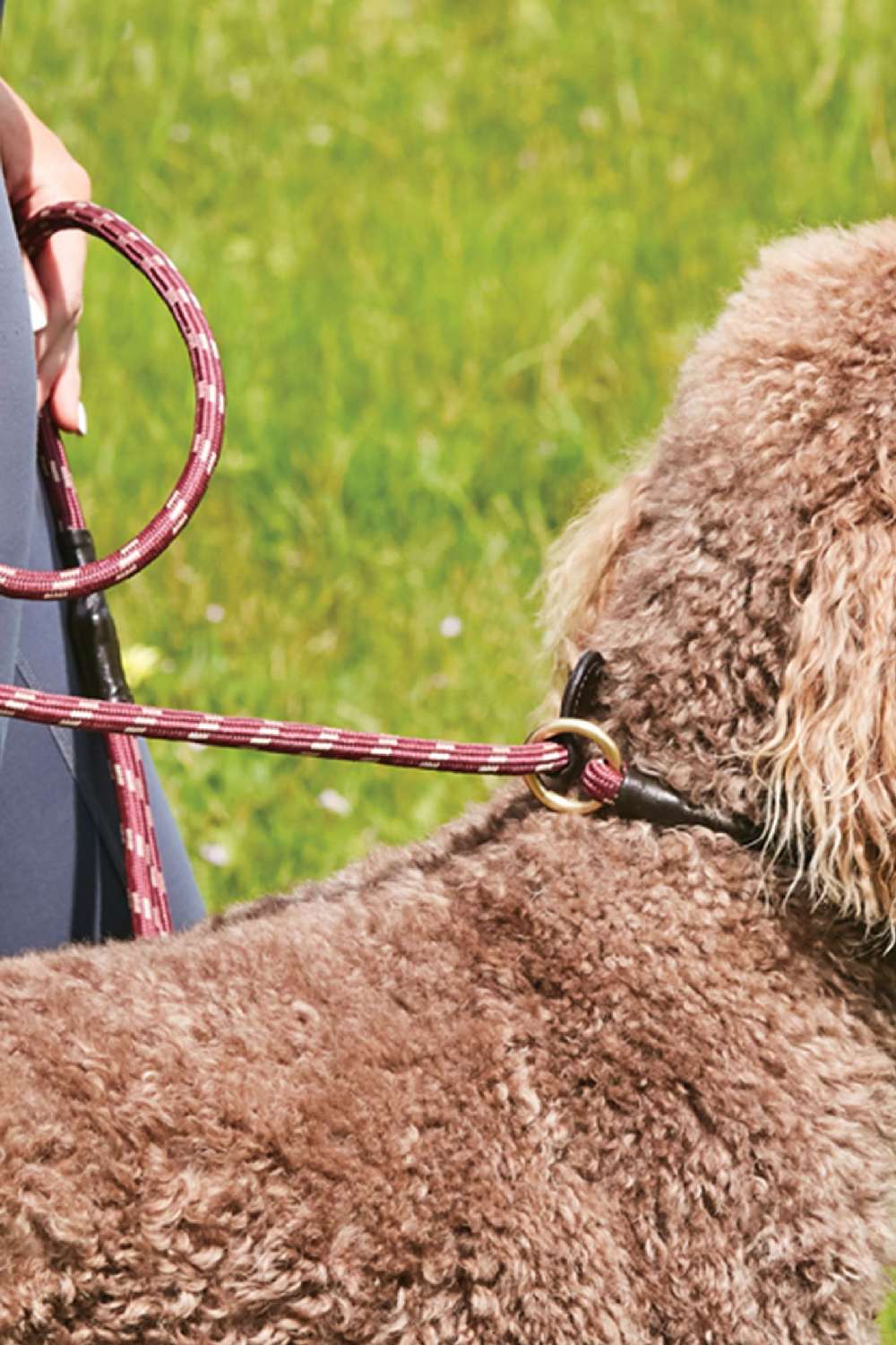 WeatherBeeta Rope Leather Slip Dog Lead - Image 4
