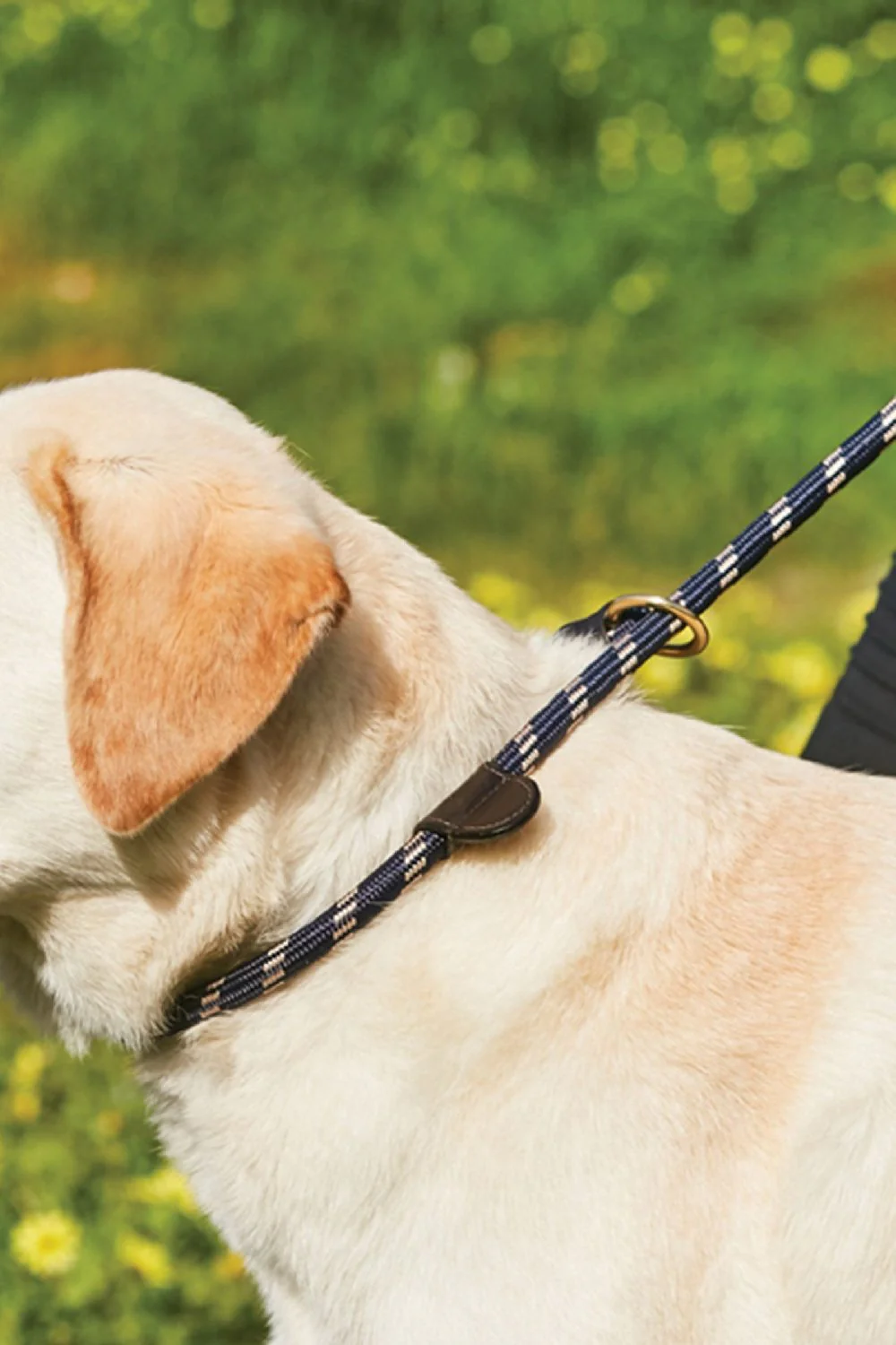 WeatherBeeta Rope Leather Slip Dog Lead - Image 6