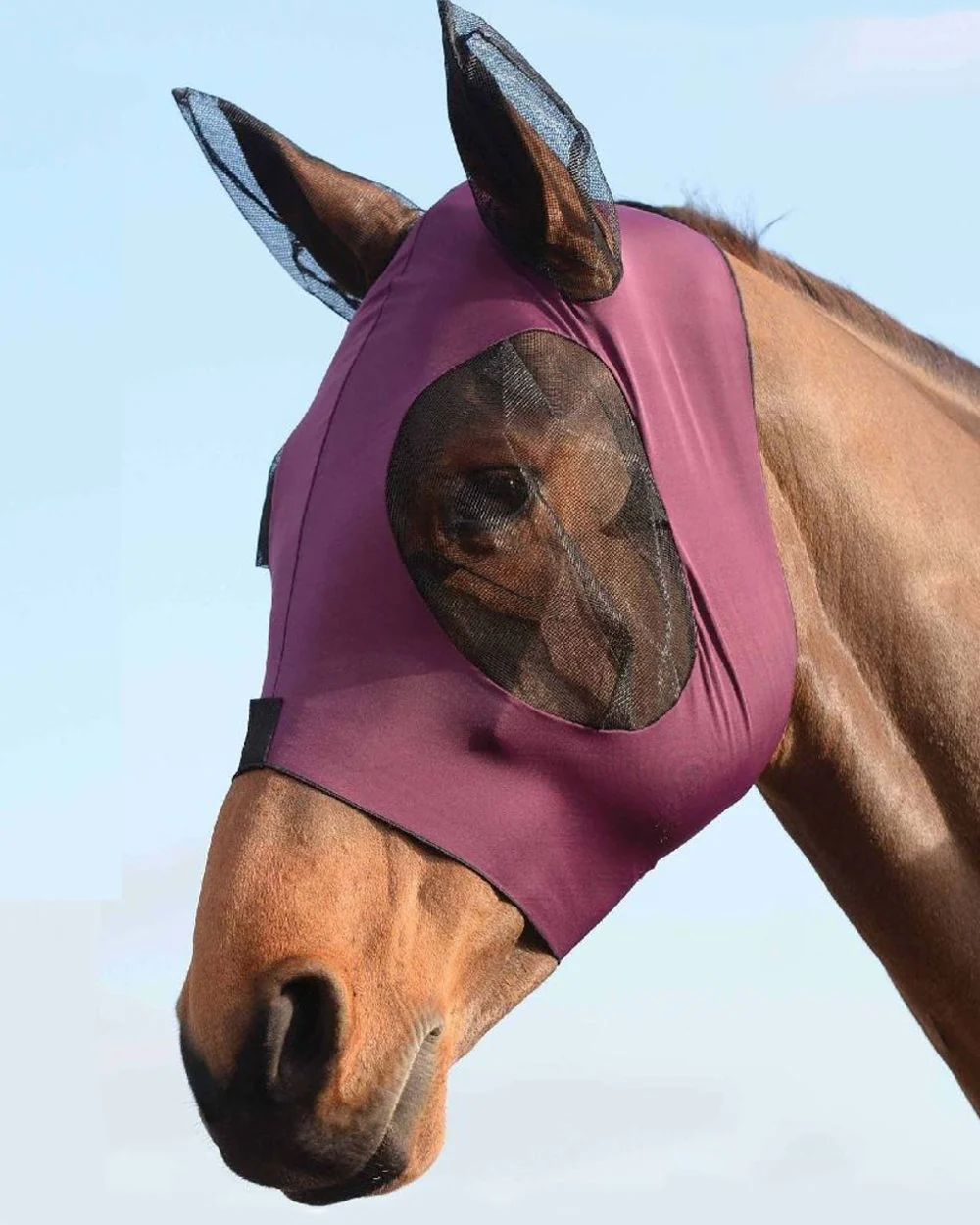 WeatherBeeta Stretch Bug Eye Saver With Ears - Image 14