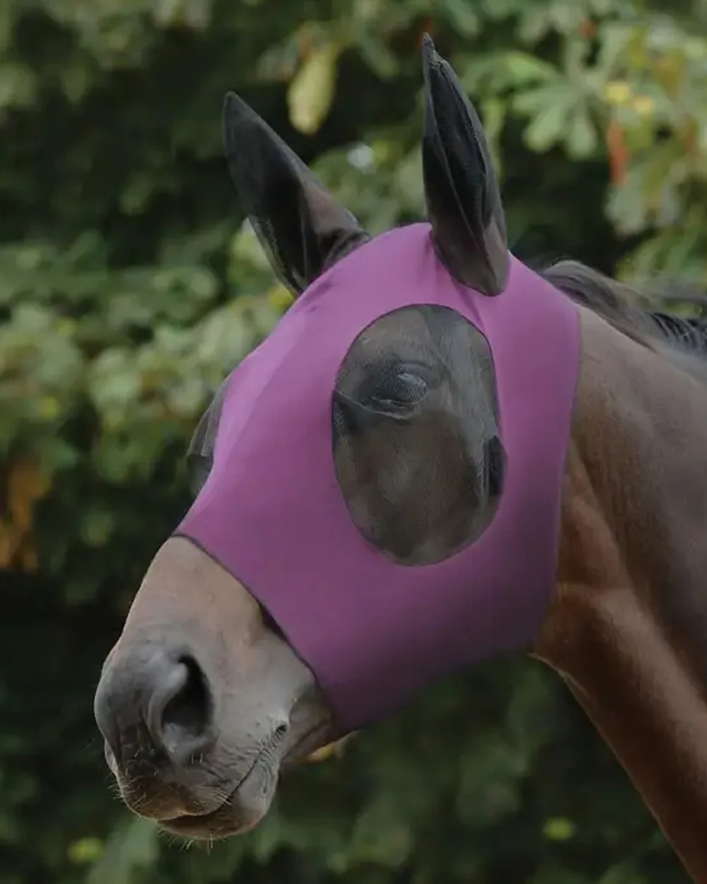 WeatherBeeta Stretch Bug Eye Saver With Ears - Image 15