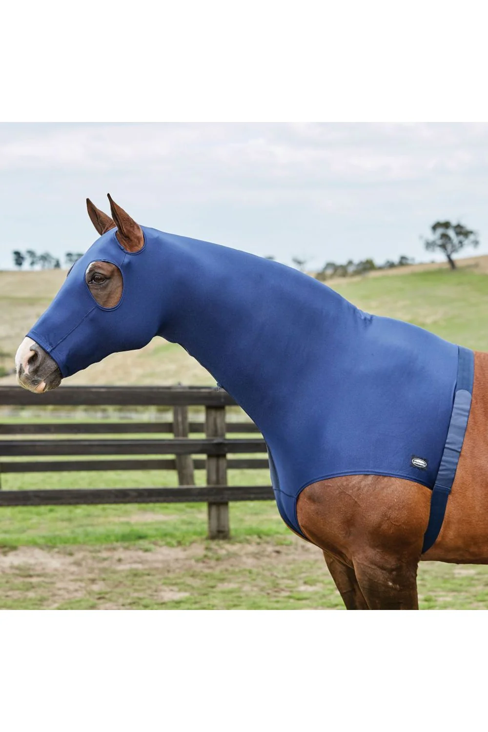 WeatherBeeta Stretch Hood With Zip | Two Colours - Image 2