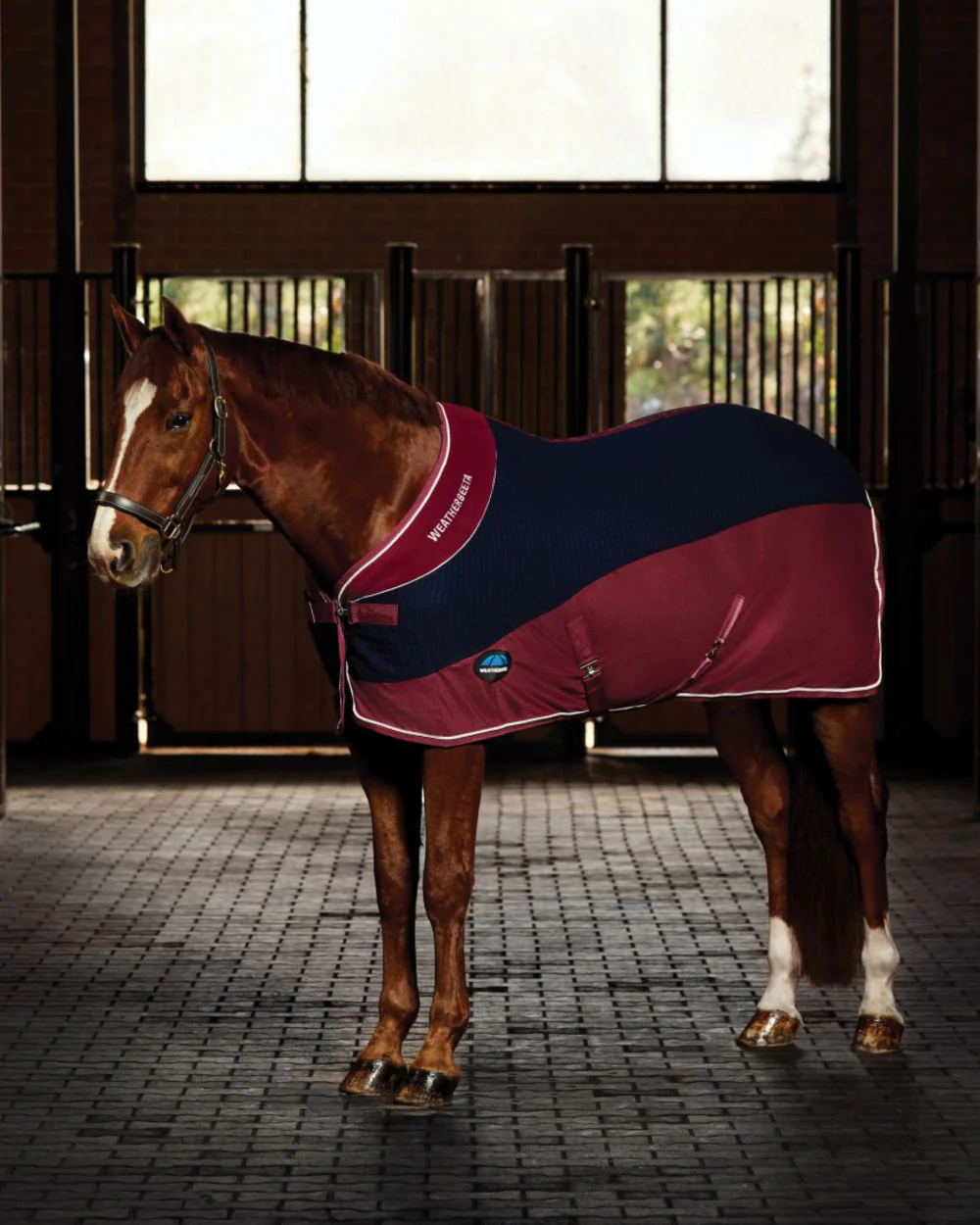 WeatherBeeta Thermo-Air Cooler Standard Neck - Image 3