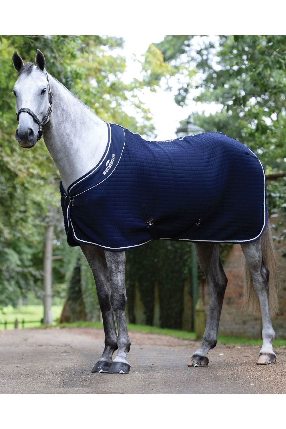 WeatherBeeta Thermocell Cooler Standard Neck - Image 5