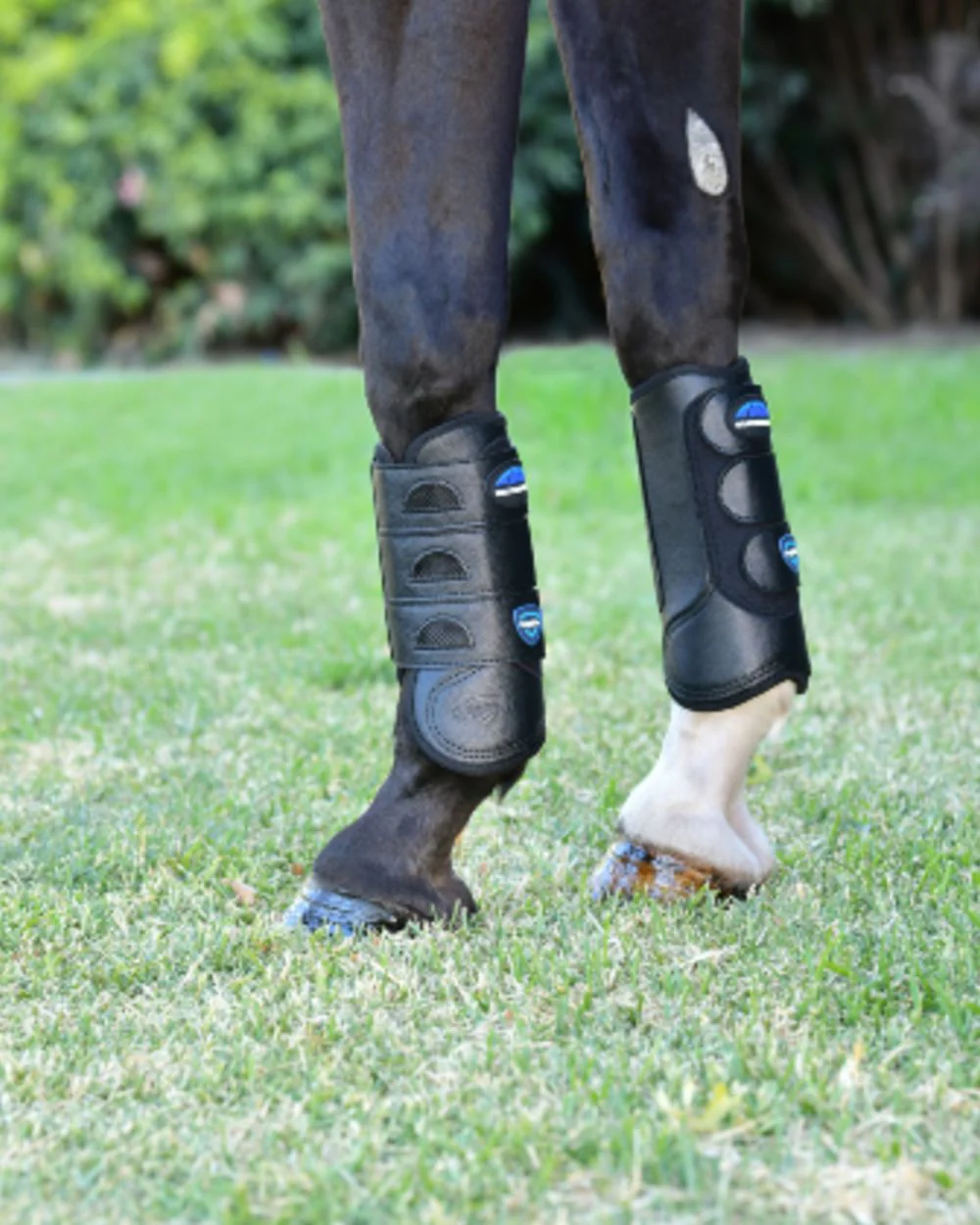 WeatherBeeta Tough-Tec Eventing Front Boots - Image 2