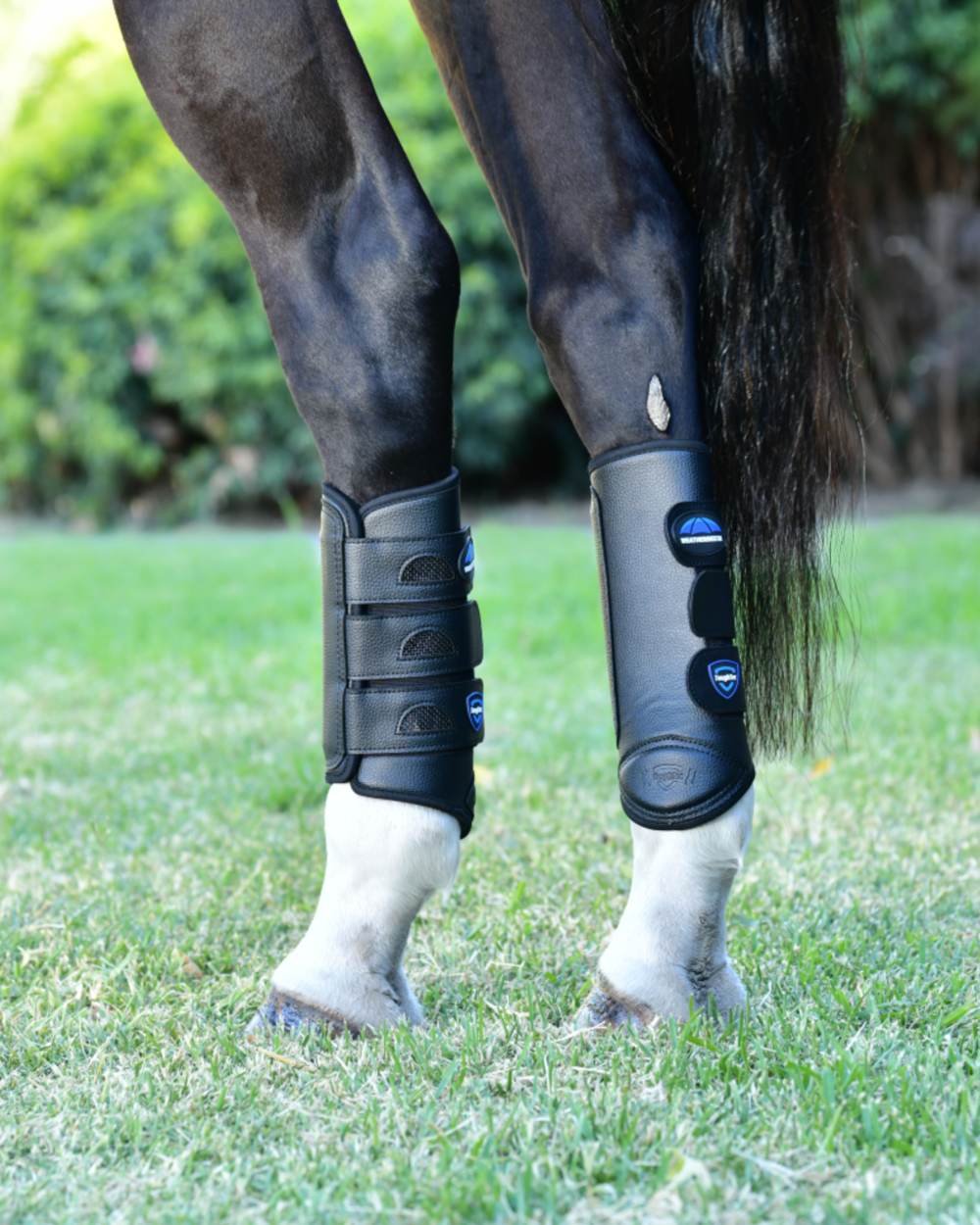 WeatherBeeta Tough-Tec Eventing Hind Boots - Image 2