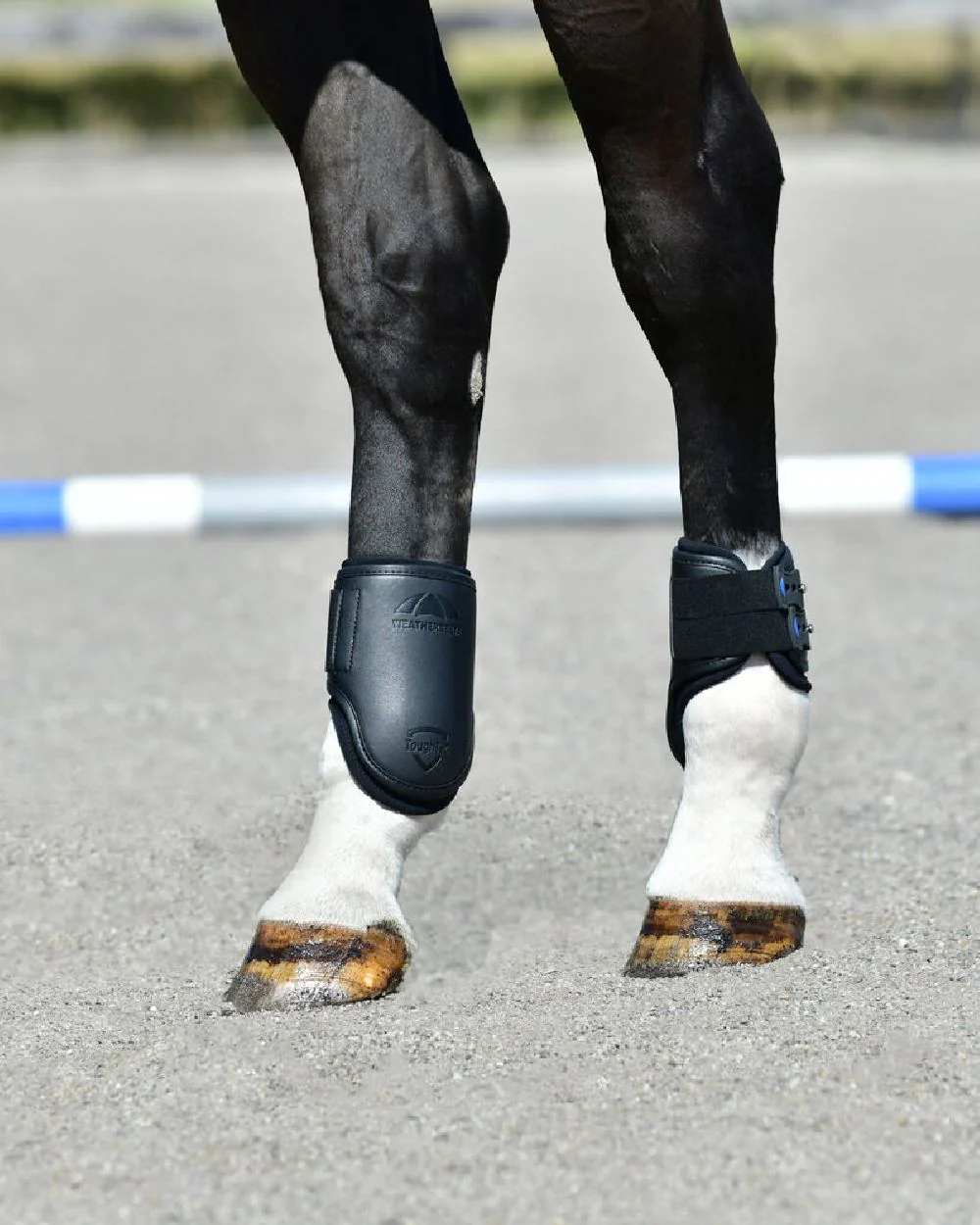 WeatherBeeta Tough-Tec Pro Hind Boots - Image 2