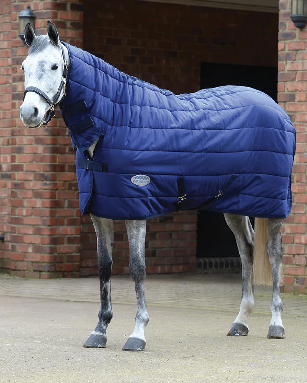 WeatherBeeta Under Rug Combo Neck Medium - Image 2