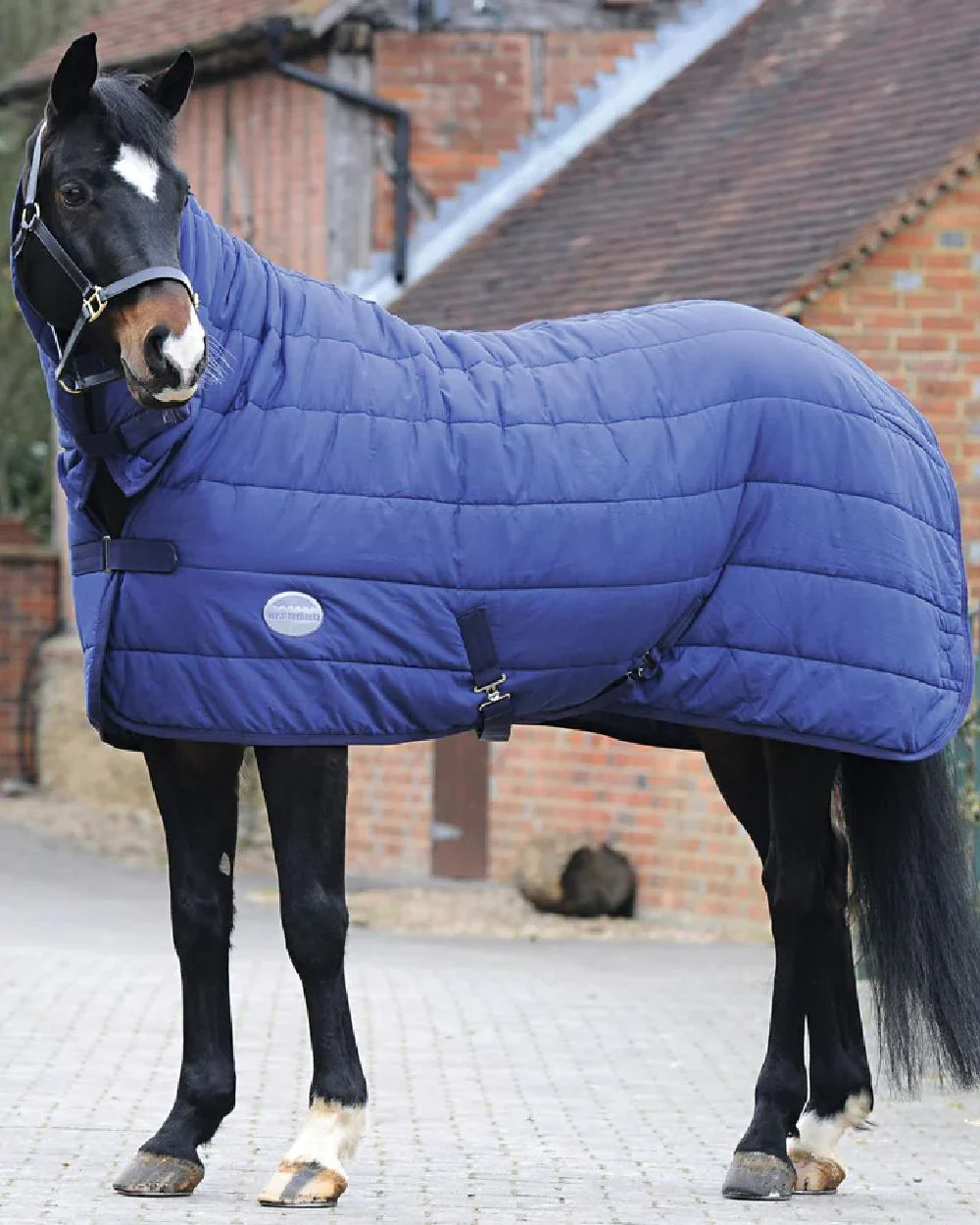 WeatherBeeta Under Rug Combo Neck Medium - Image 3