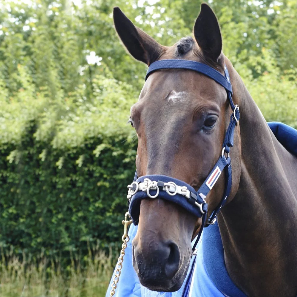 John Whitaker Lunge Cavesson - Image 2