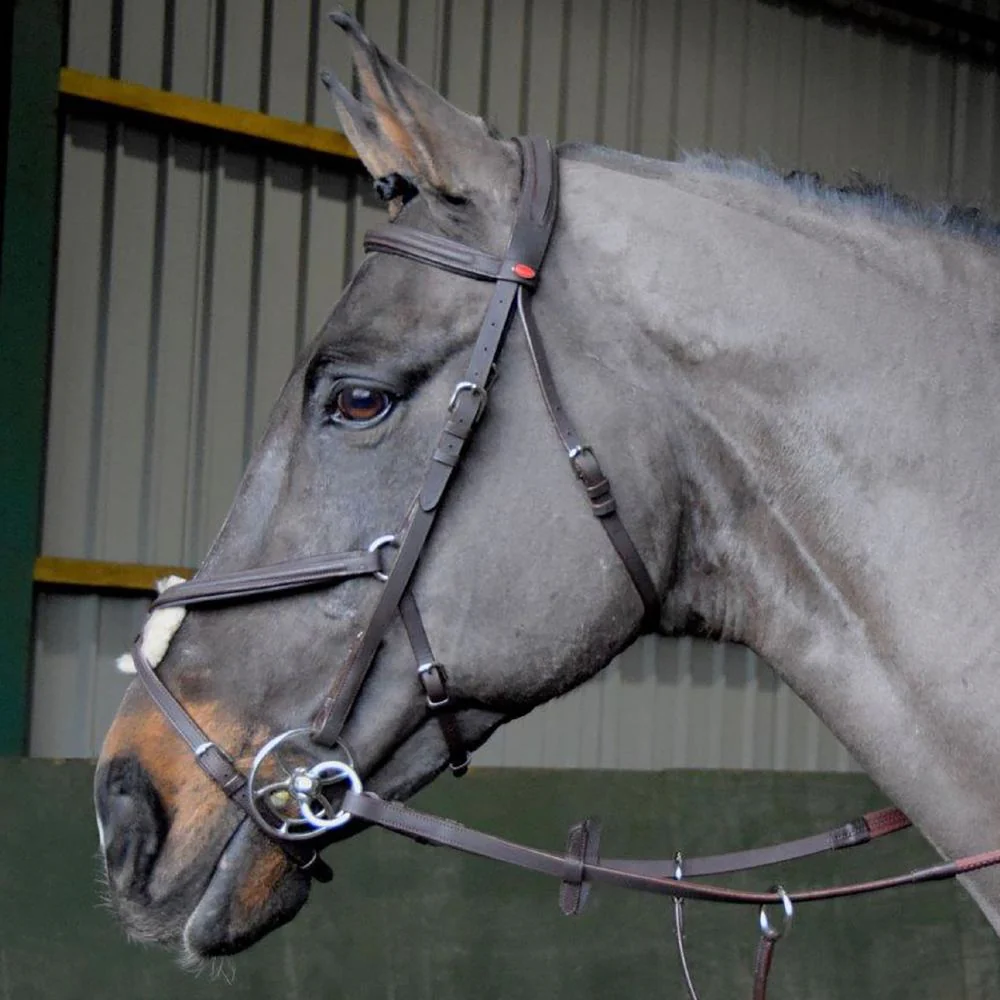 Whitaker Ready To Ride Mexican Bridle | Two Colours - Image 3
